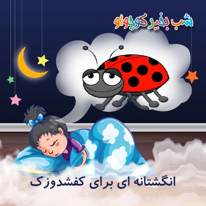 جلد کتاب صوتی انگشتانه ای برای کفشدوزک