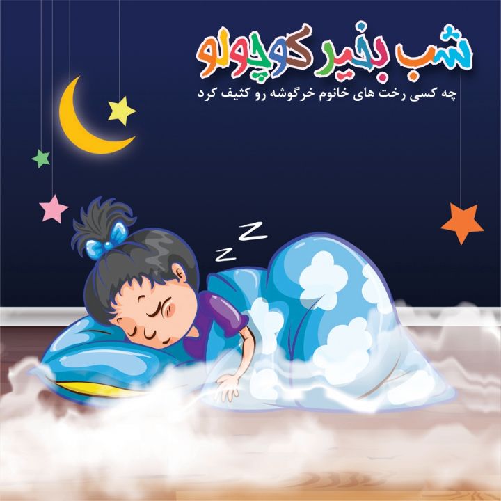 جلد کتاب صوتی چه کسی رخت های خانوم خرگوشه رو کثیف کرد
