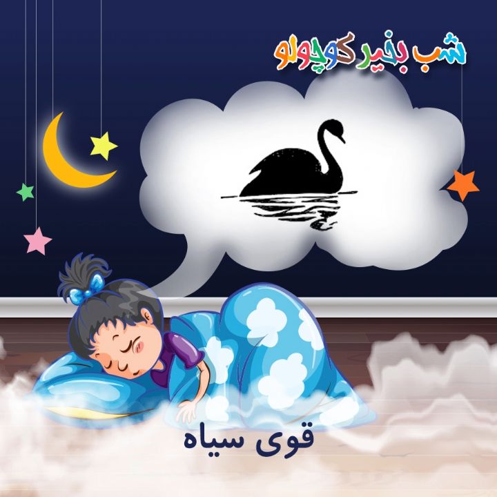 جلد کتاب صوتی قوی سیاه