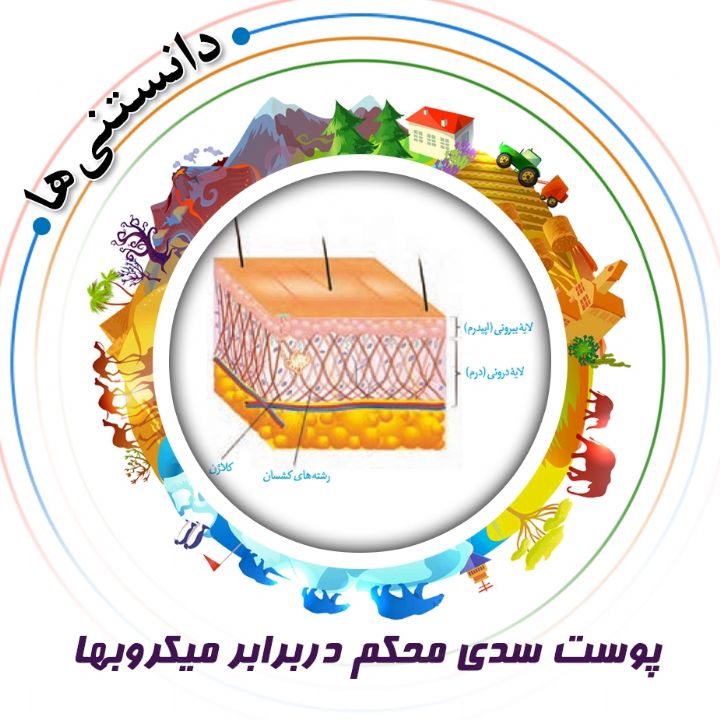 جلد کتاب صوتی پوست سدی محکم دربرابر میکروبها