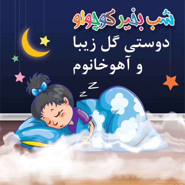 جلد کتاب صوتی دوستی گل زیبا و آهوخانوم