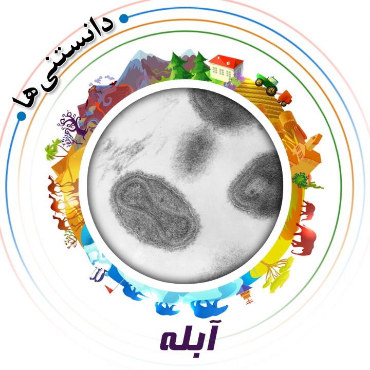 جلد کتاب صوتی آبله