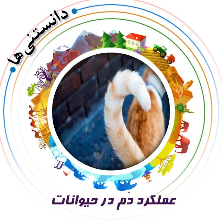 جلد کتاب صوتی عملکرد دُم در حیوانات