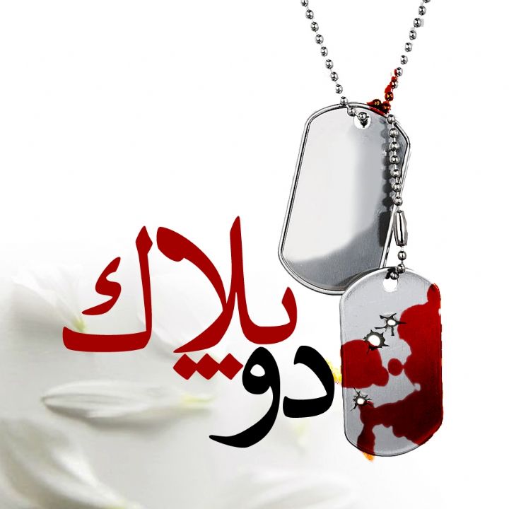 جلد کتاب صوتی دو پلاک