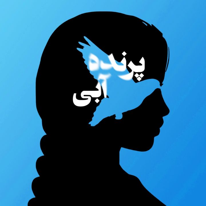 جلد کتاب صوتی پرنده آبی