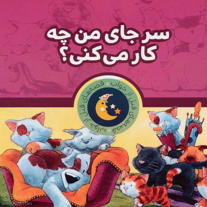 جلد کتاب صوتی سر جای من چیکار می کنی؟