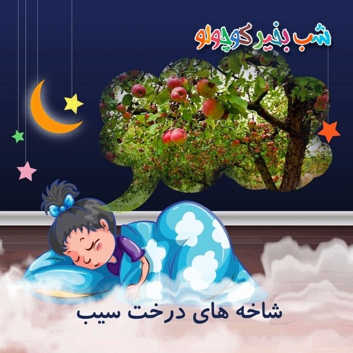 جلد کتاب صوتی شاخه های درخت سیب