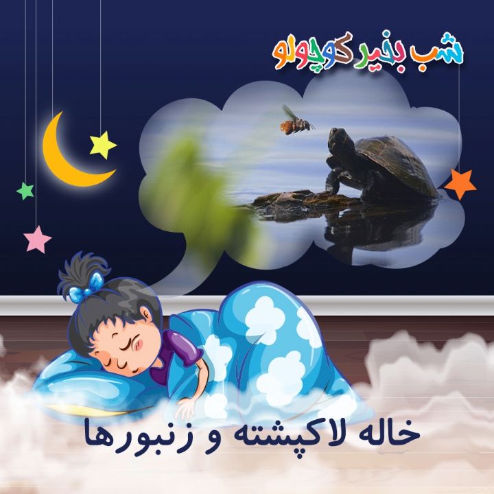 جلد کتاب صوتی خاله لاکپشته و زنبورها