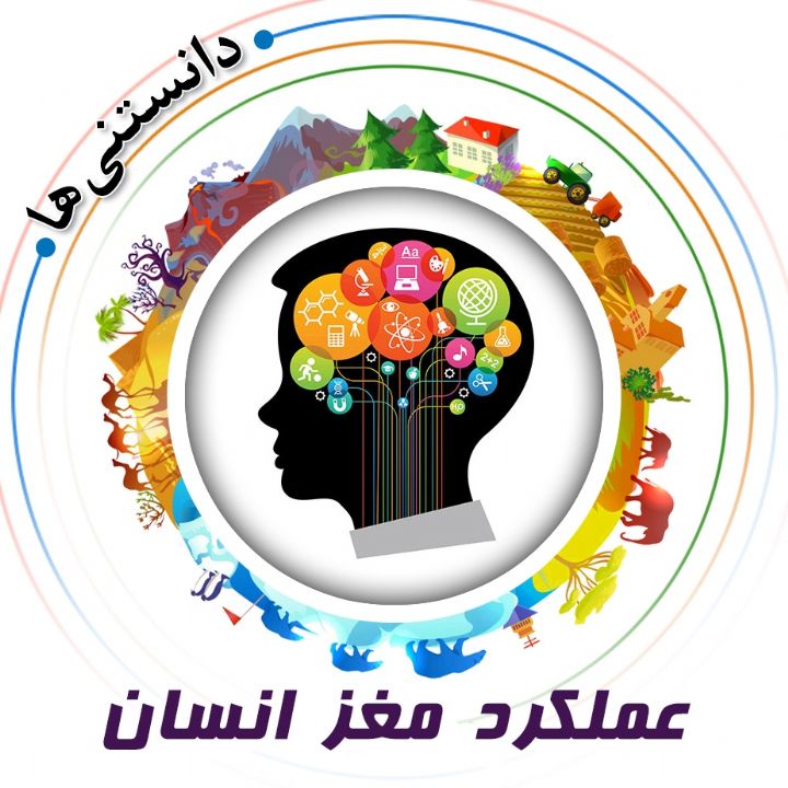 جلد کتاب صوتی عملکرد مغز انسان