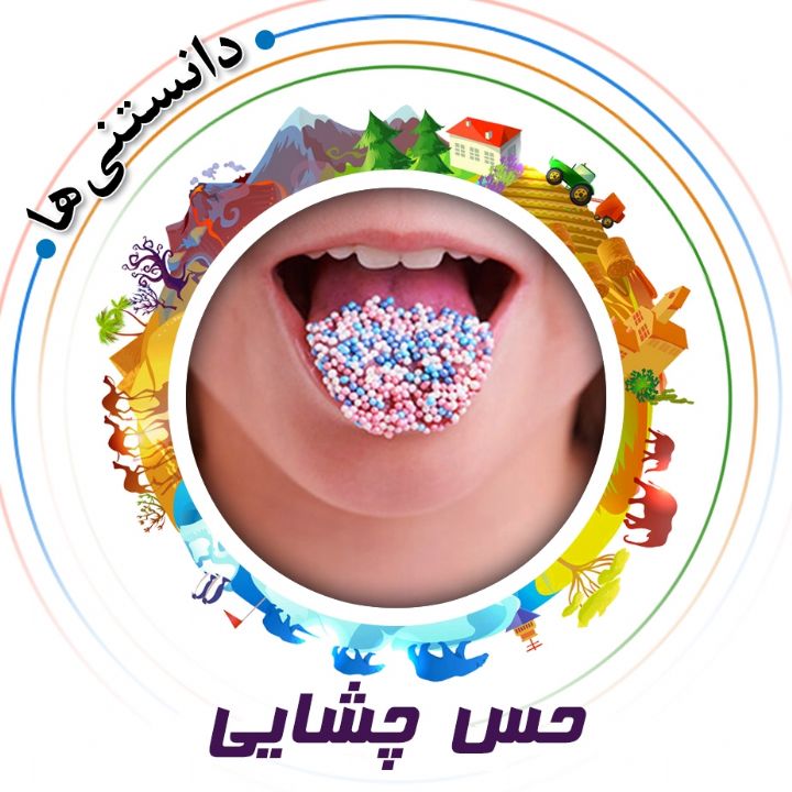 جلد کتاب صوتی حس چشایی (علیرضا مجیدی)