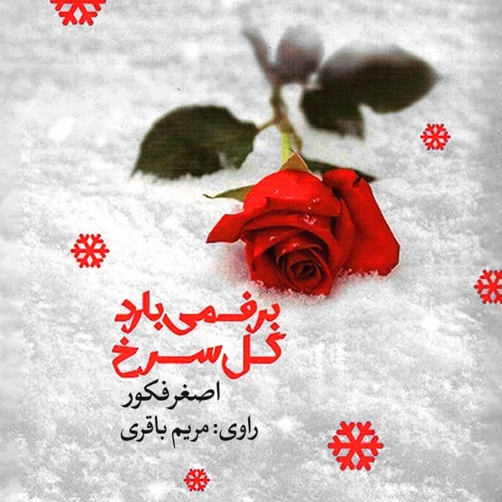 جلد کتاب صوتی برف می‌بارد گل سرخ