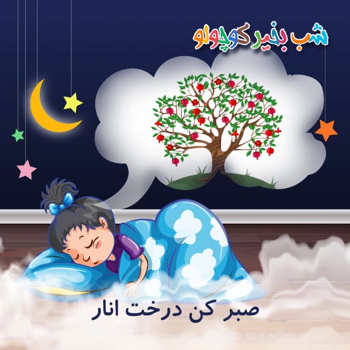 جلد کتاب صوتی صبر کن درخت انار