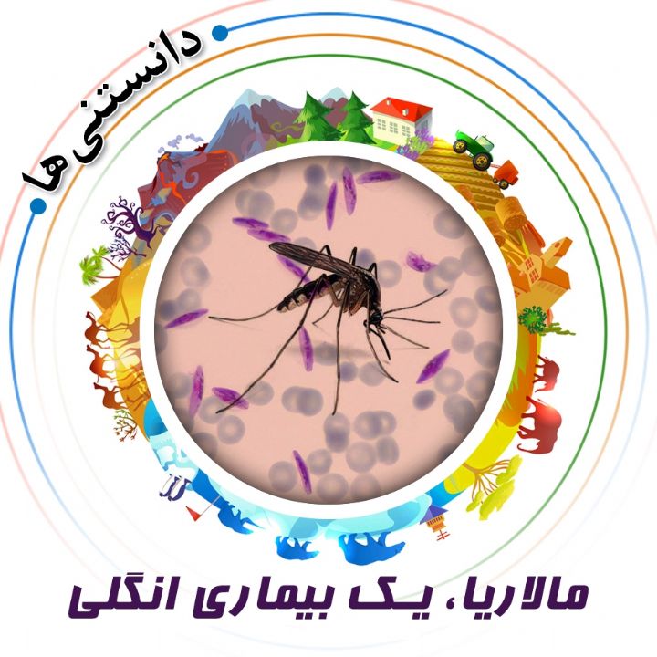 جلد کتاب صوتی مالاریا، یک بیماری انگلی