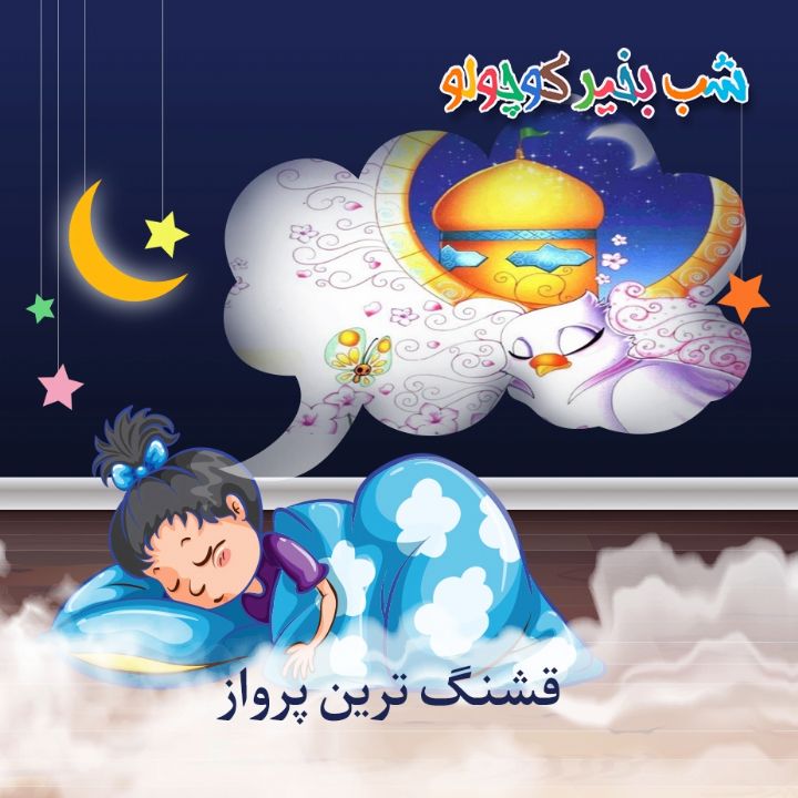 جلد کتاب صوتی قشنگ ترین پرواز