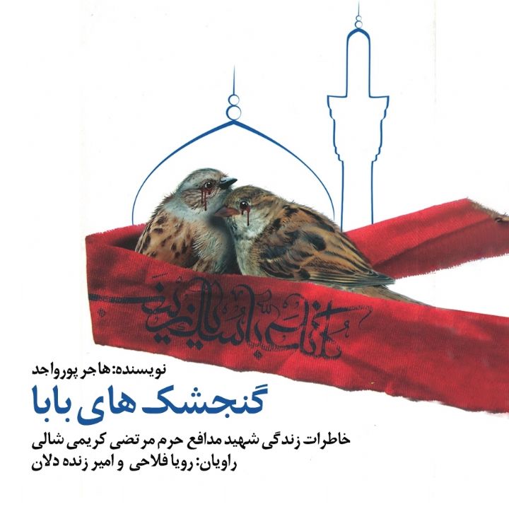 جلد کتاب صوتی گنجشک های بابا