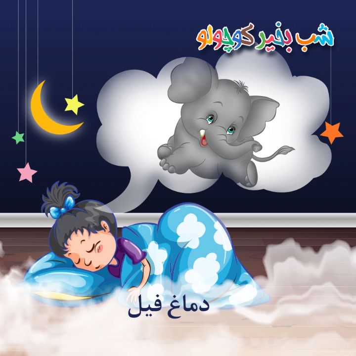 جلد کتاب صوتی دماغ فیل