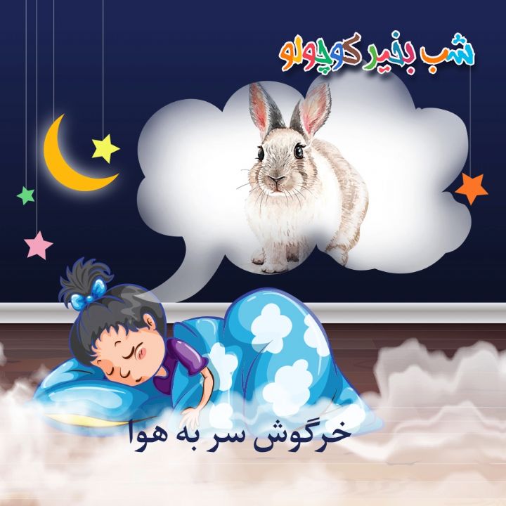جلد کتاب صوتی خرگوش سر به هوا