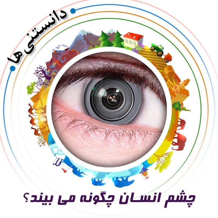 جلد کتاب صوتی چشم انسان چگونه می بیند؟