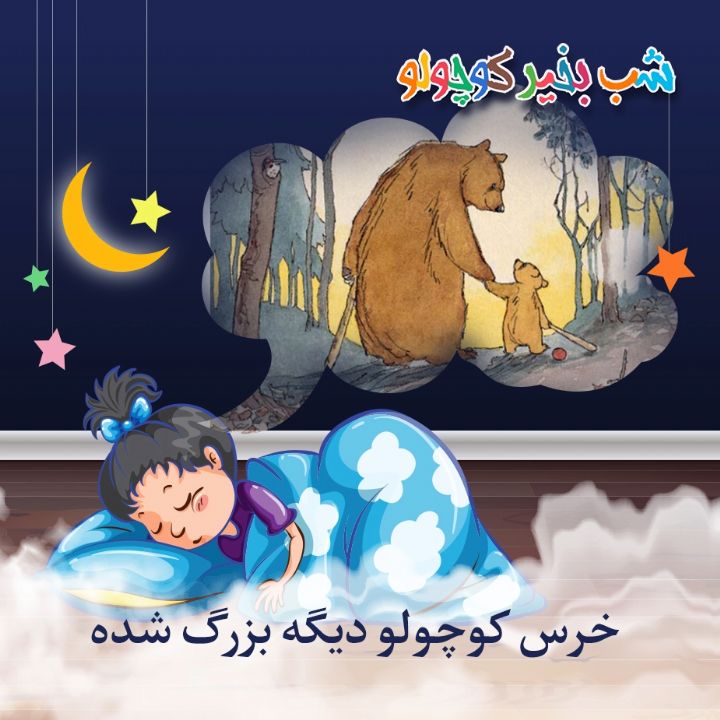 جلد کتاب صوتی خرس کوچولو بزرگ شده