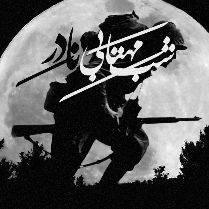 جلد کتاب صوتی شب مهتابی نادر