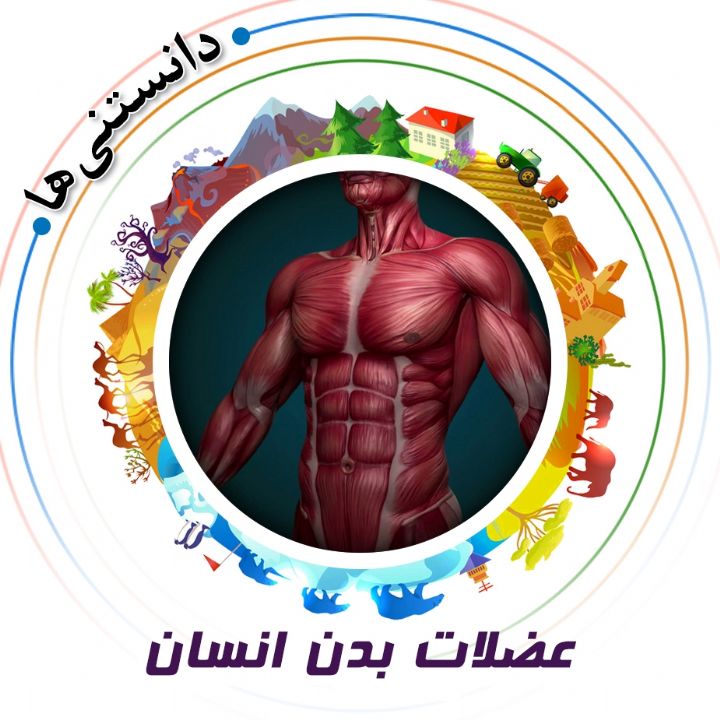 جلد کتاب صوتی عضلات بدن انسان
