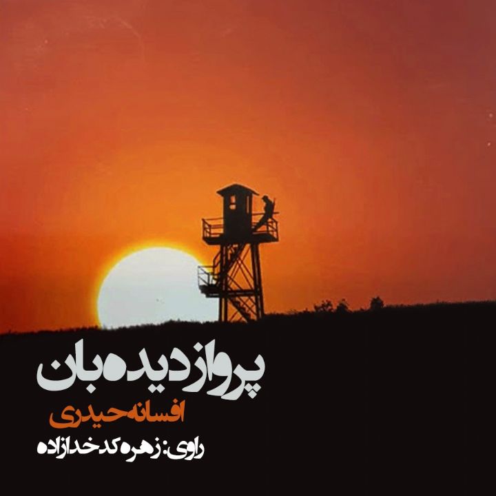جلد کتاب صوتی پرواز دیده‌بان