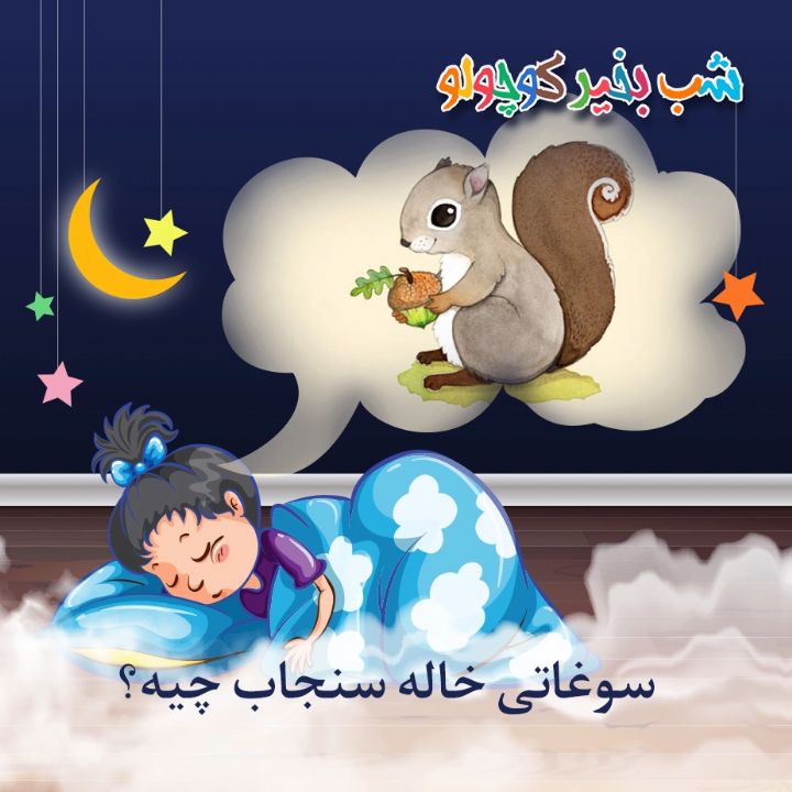 جلد کتاب صوتی سوغاتی خاله سنجاب چیه؟