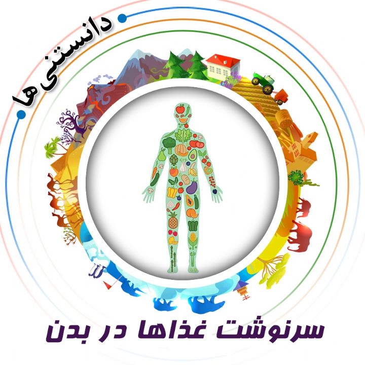 جلد کتاب صوتی سرنوشت غذاها در بدن