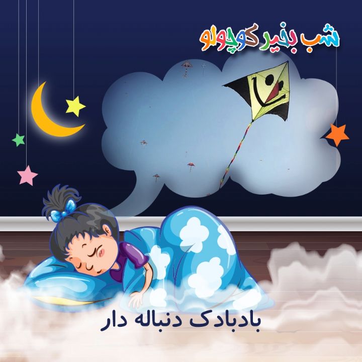 جلد کتاب صوتی بادبادک دنباله دار