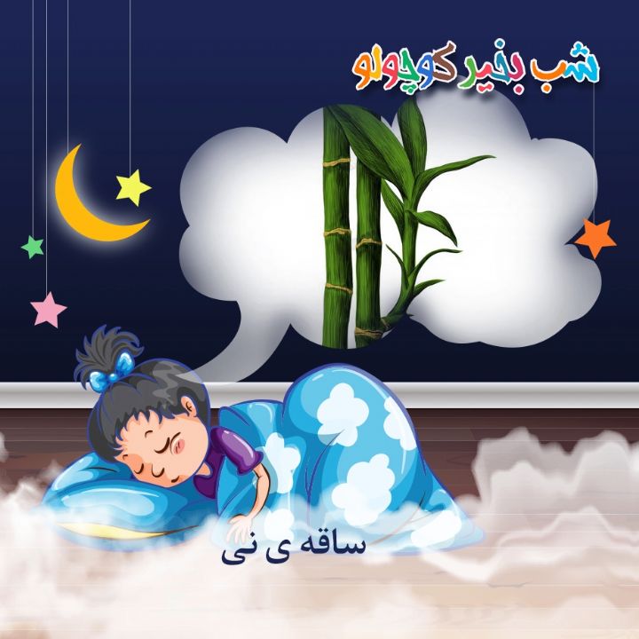 جلد کتاب صوتی ساقه ی نی