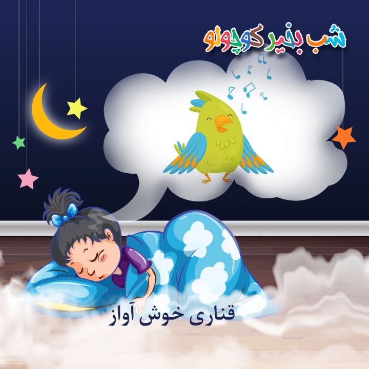 جلد کتاب صوتی قناری خوش آواز