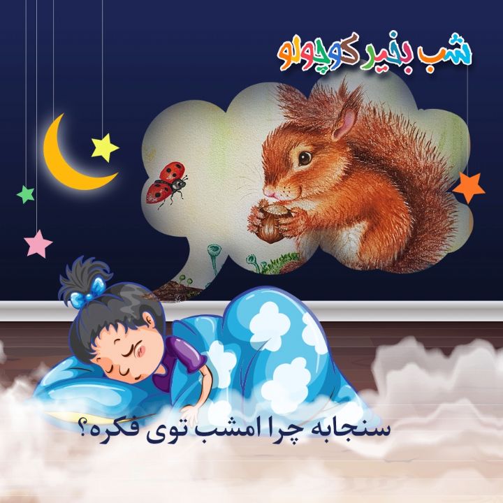 جلد کتاب صوتی سنجابه چرا امشب توی فکره؟