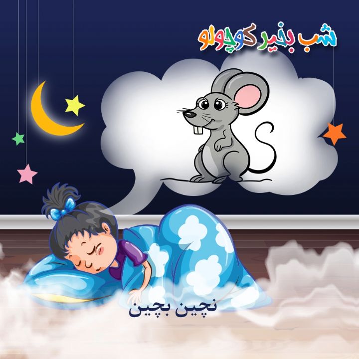جلد کتاب صوتی نچین بچین