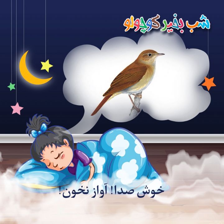 جلد کتاب صوتی خوش صدا! آواز نخون!