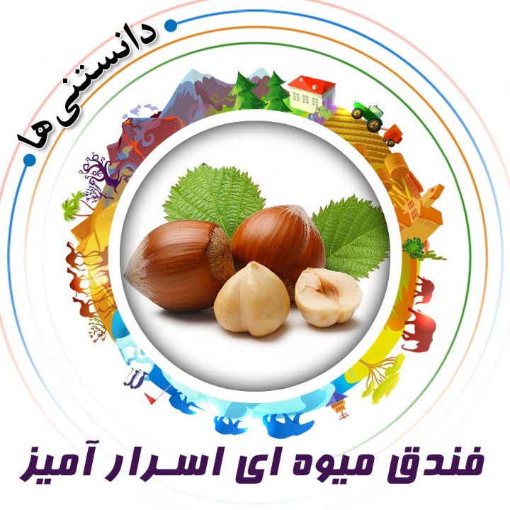 جلد کتاب صوتی فندق میوه ای اسرار آمیز