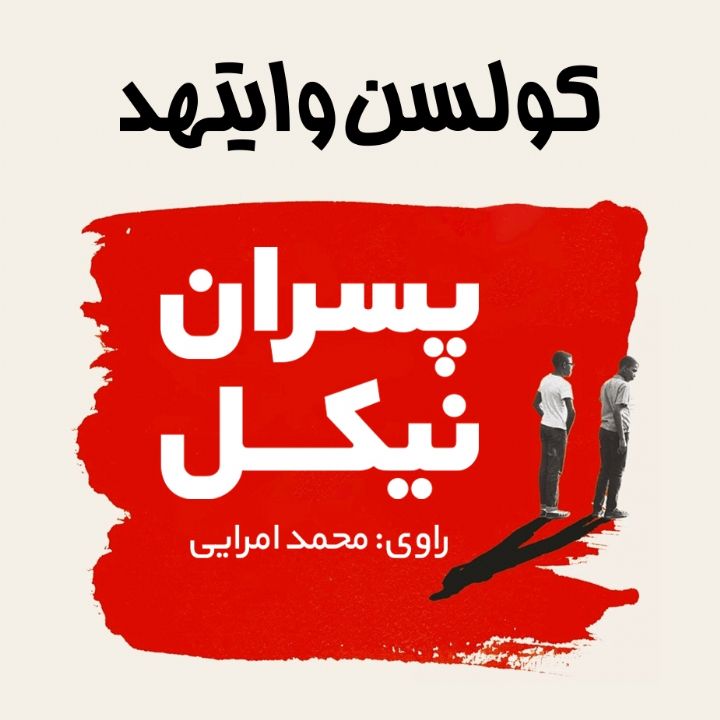 جلد کتاب صوتی پسران نیکل