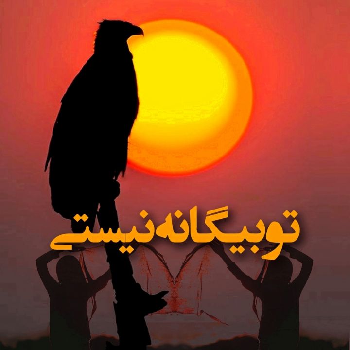 جلد کتاب صوتی تو بیگانه نیستی