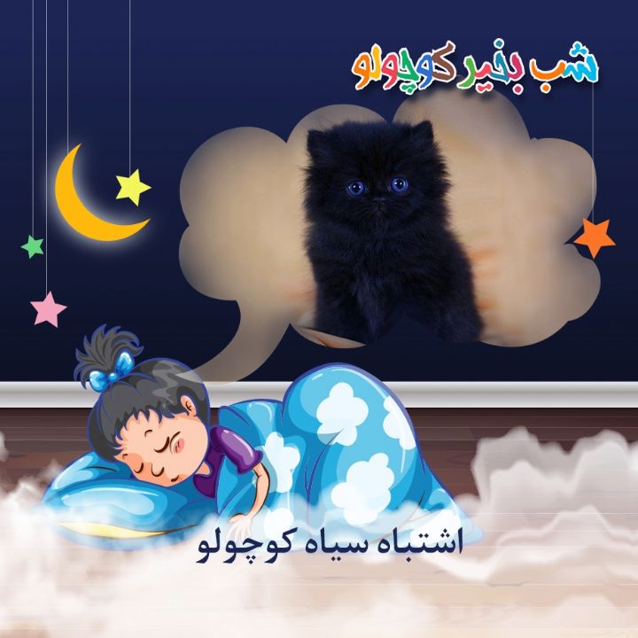 جلد کتاب صوتی اشتباه سیاه کوچولو
