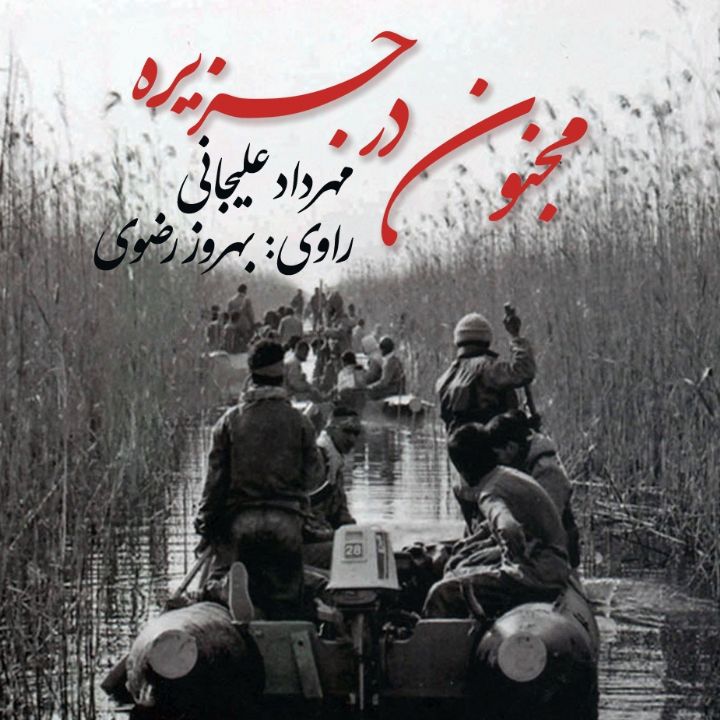 جلد کتاب صوتی مجنون در جزیره