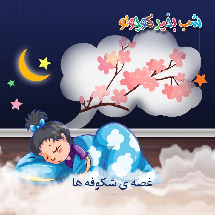 جلد کتاب صوتی غصه ی شکوفه ها
