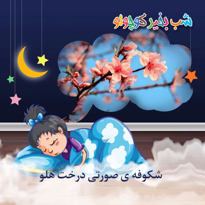 جلد کتاب صوتی شکوفه ی صورتی درخت هلو
