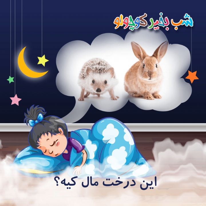 جلد کتاب صوتی این درخت مال کیه؟