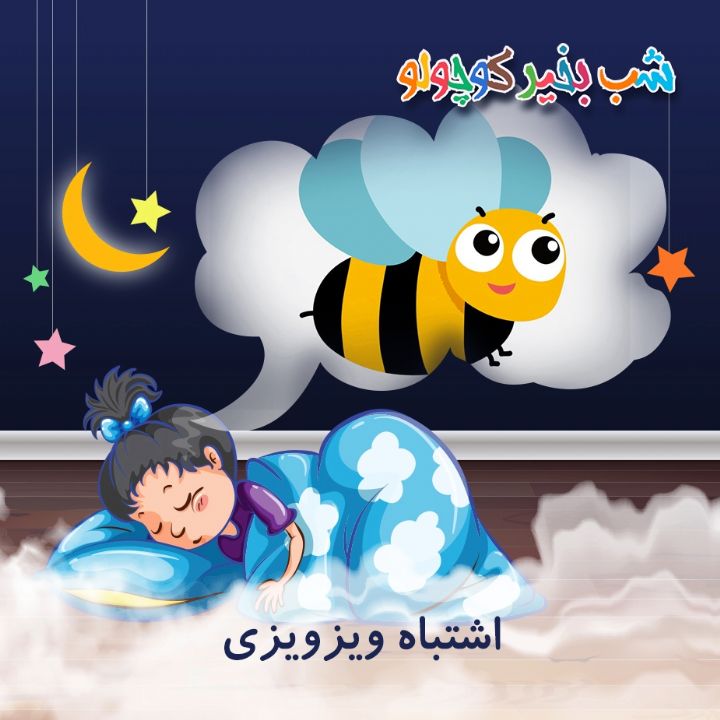 جلد کتاب صوتی اشتباه ویزویزی