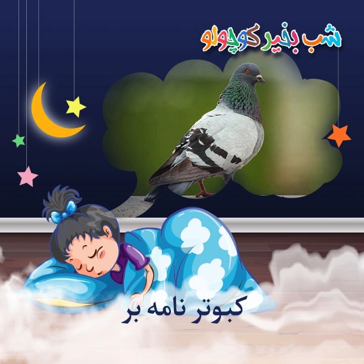 جلد کتاب صوتی کبوتر نامه بر
