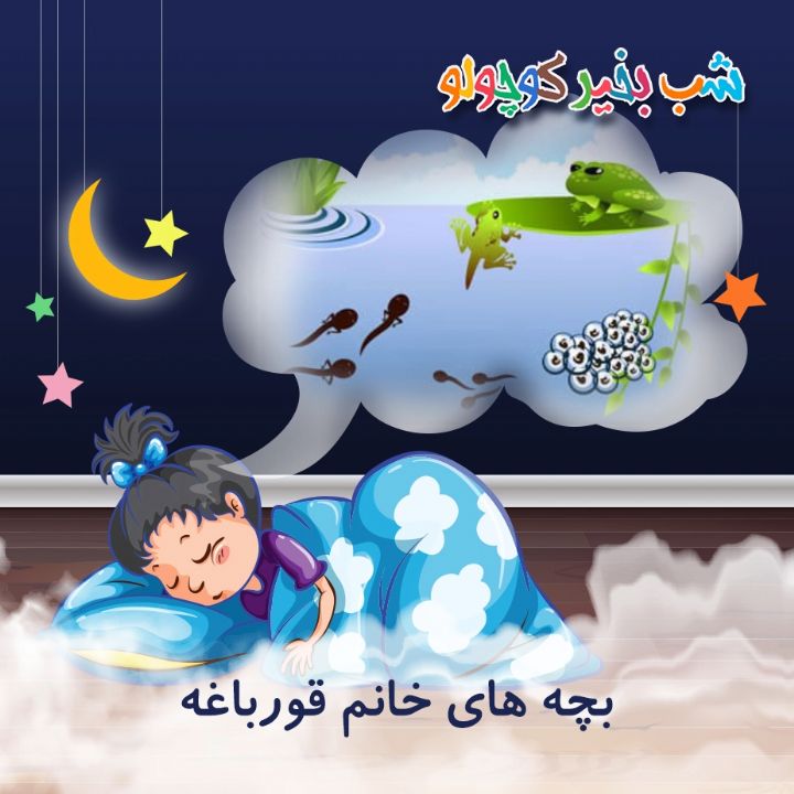 جلد کتاب صوتی بچه های خانم قورباغه