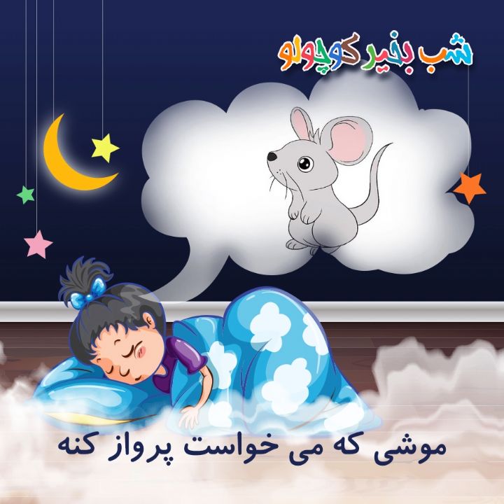 جلد کتاب صوتی موشی که می خواست پرواز کنه
