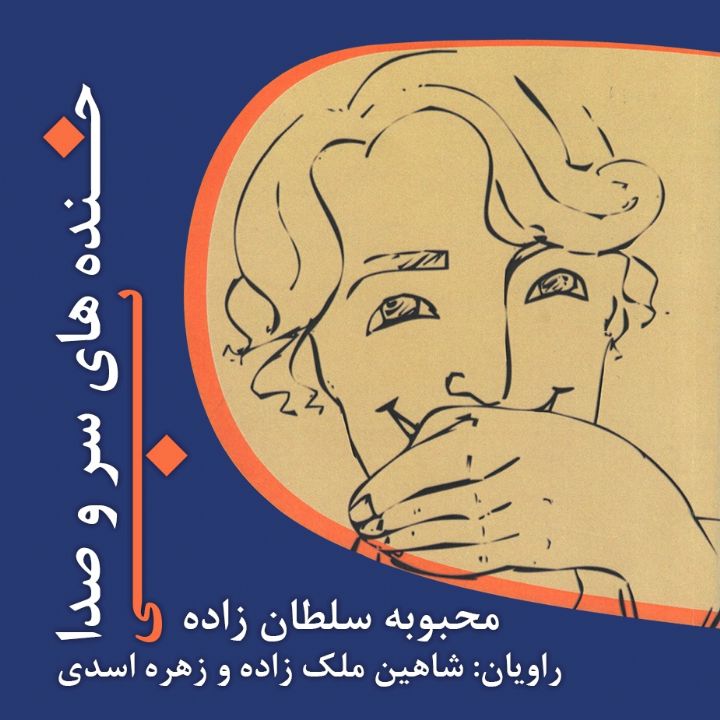 جلد کتاب صوتی خنده‌های بی‌سروصدا