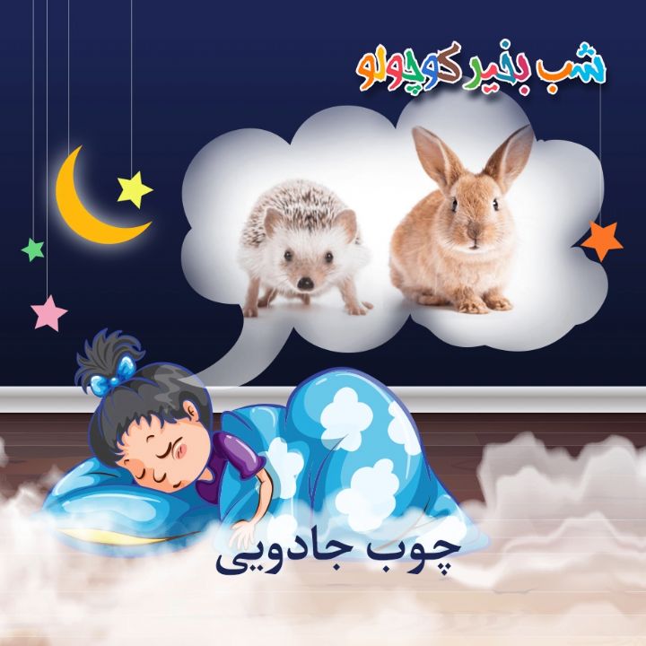 جلد کتاب صوتی چوب جادویی