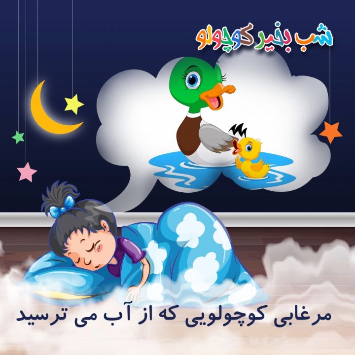 جلد کتاب صوتی مرغابی کوچولویی که از آب می ترسید😶