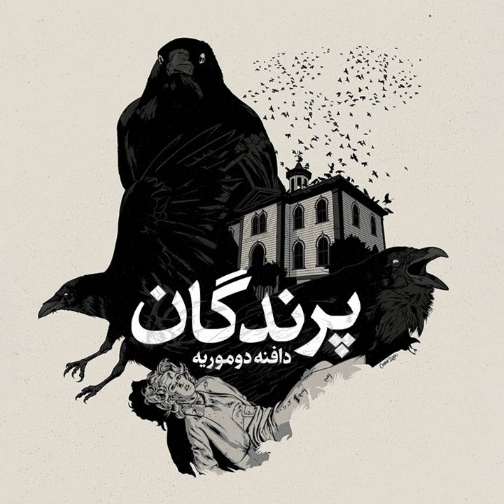 جلد کتاب صوتی پرندگان (محمدرضا محتشمی)